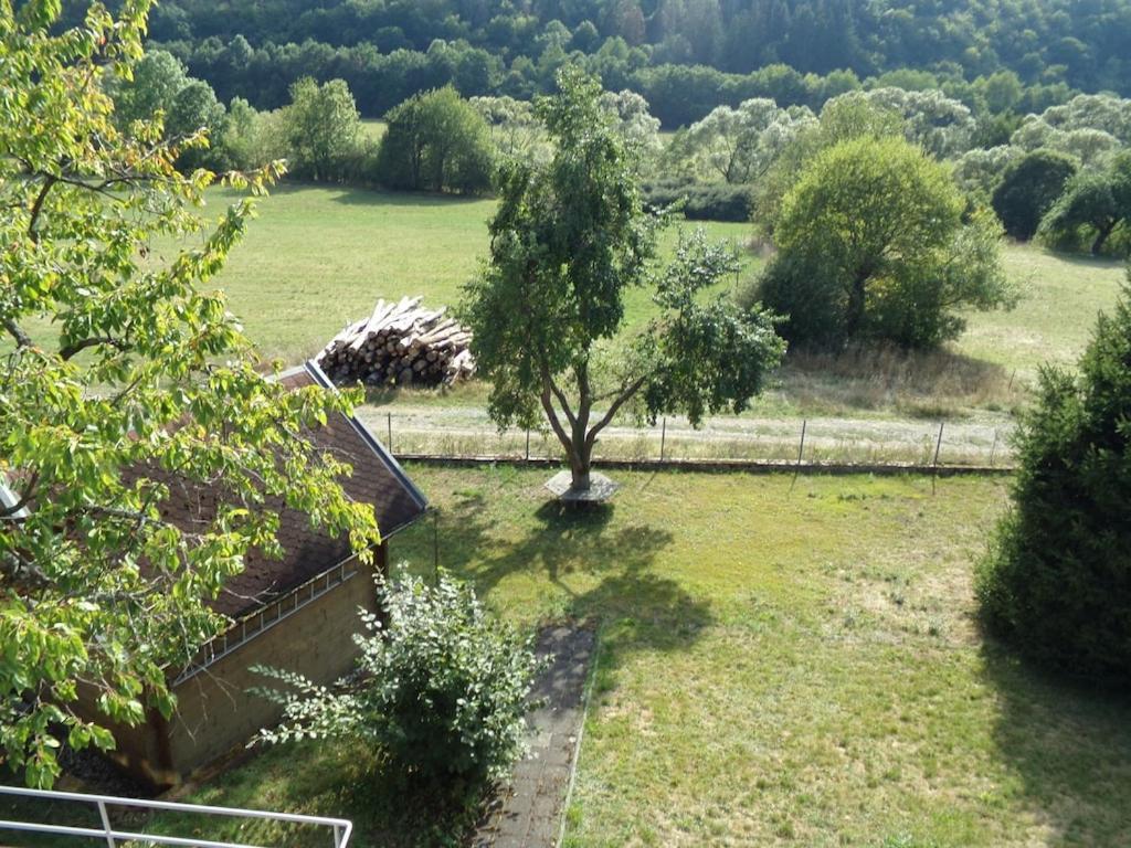 Appartamento Ederauenblick Dodenau Esterno foto