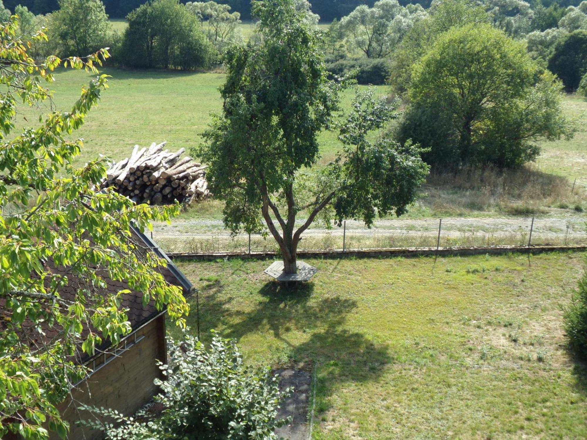 Appartamento Ederauenblick Dodenau Esterno foto